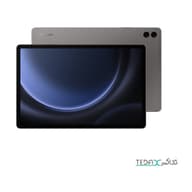 تبلت سامسونگ مدل Galaxy Tab S9 FE  ظرفیت 256 گیگابایت و رم 6 گیگابایت بدون سیم کارت ( وای فای )